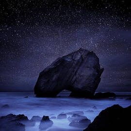 Night guardian by Jorge Maia