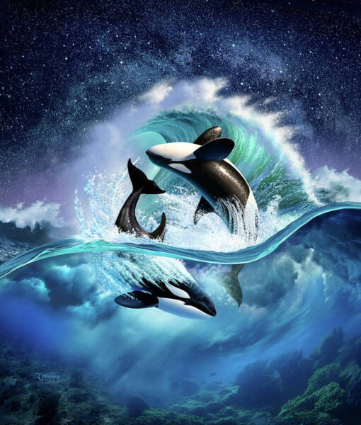 Orca Wave Poster