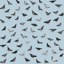 Pigeons Doing Pigeon Things by Nic Squirrell