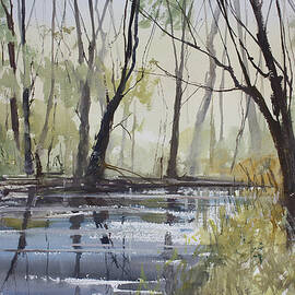 Pine River Reflections by Ryan Radke