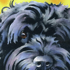 Portuguese Water Dog  by David Rogers
