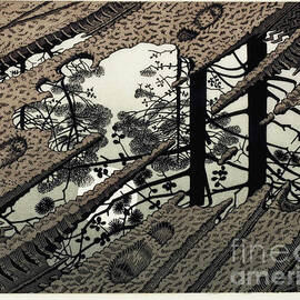 Puddle by MC Escher