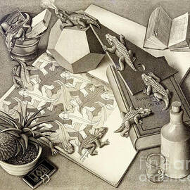 Reptiles by MC Escher