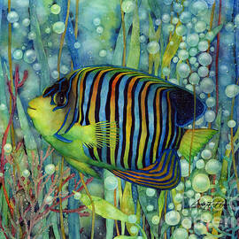 Royal Angelfish by Hailey E Herrera