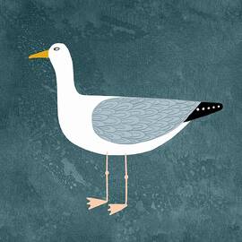 Seagull Standing by Nic Squirrell