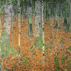 The Birch Wood by Gustav Klimt