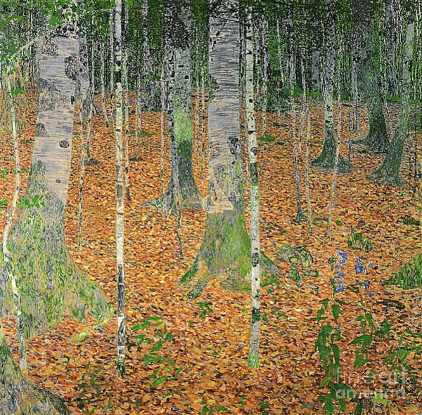 Wall Art - Painting - The Birch Wood by Gustav Klimt