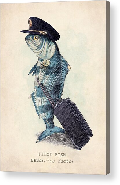 The Pilot Acrylic Print