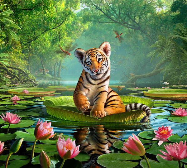 Tiger Lily 1 Art Print