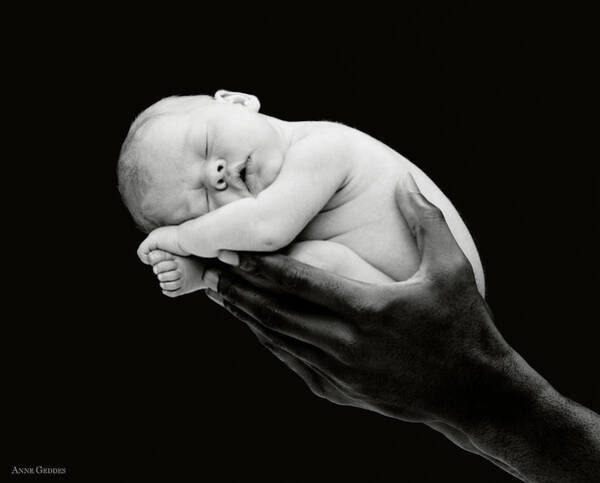 Wall Art - Photograph - Tony holding Georgia by Anne Geddes
