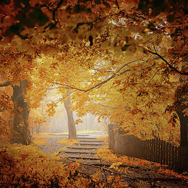Turn To Fall by Ildiko Neer