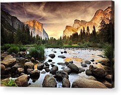 Nature Acrylic Prints for Sale