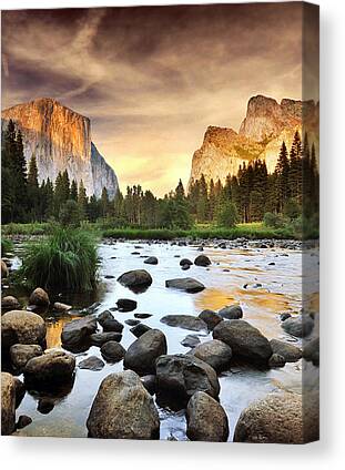 Nature Canvas Prints for Sale