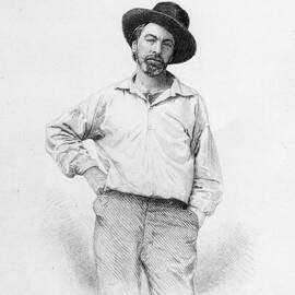Walt Whitman frontispiece to Leaves of Grass by American School
