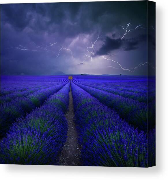 Wetter Im Lavendelfeld Canvas Art Print by Franz Schumacher