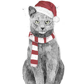 Xmas cat by Balazs Solti